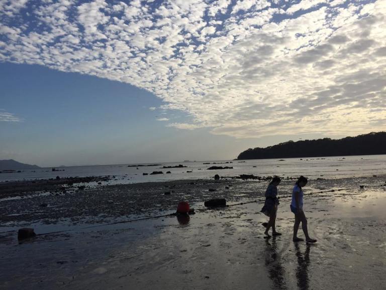 12400828_10153968511825466_656322292192642080_n