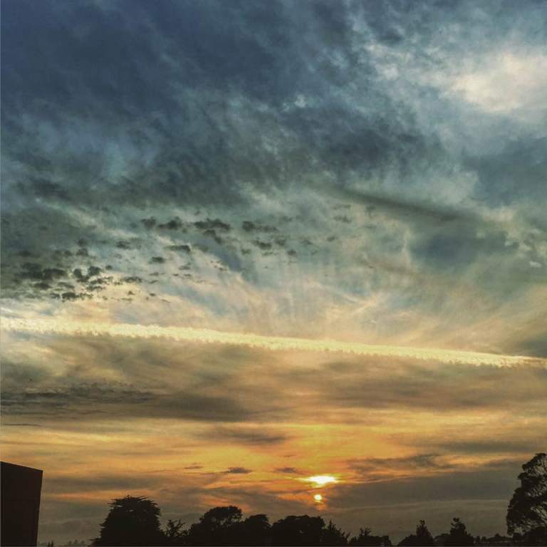 Berkeley, California. Photo: Devi S. Laskar